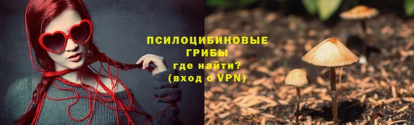 эйфоретик Касимов