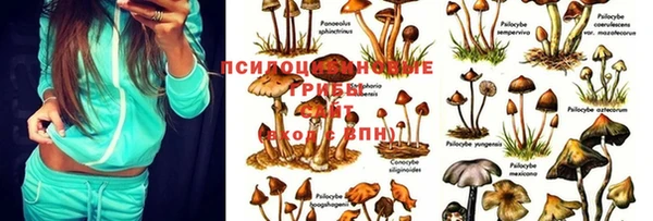 эйфоретик Касимов