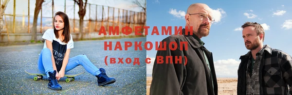 индика Аша