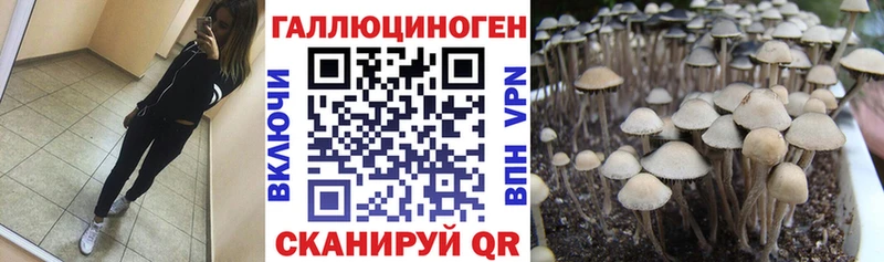 Галлюциногенные грибы мицелий  что такое наркотик  Краснокамск 